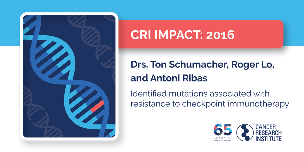 2016 Drs. Ton Schumacher, Roger Lo, and Antoni Ribas identified mutations associated with resistance to checkpoint immunotherapy