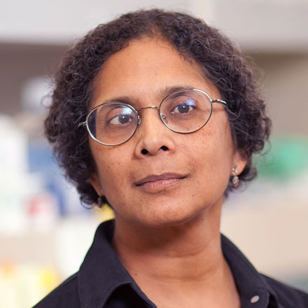 Anjana Rao, Ph.D., of The La Jolla Institute Center for Autoimmunity and Inflammation
