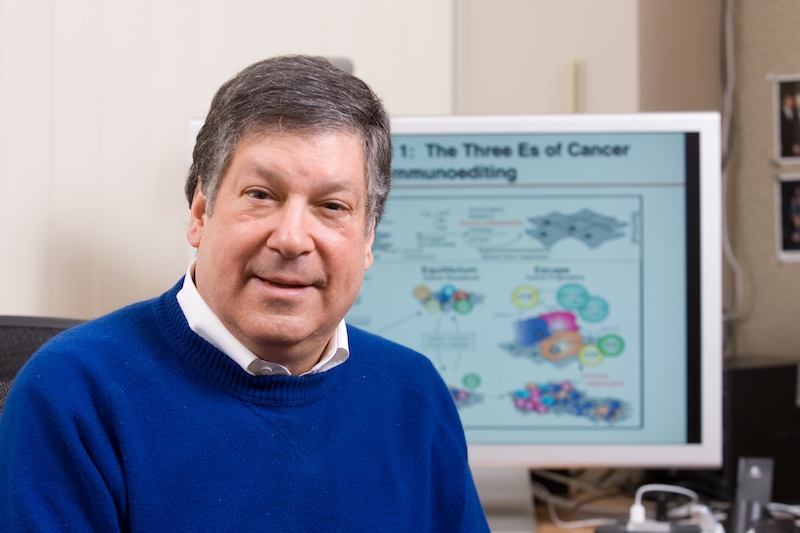 Schreiber, with a visual diagram describing his cancer immunoediting theory