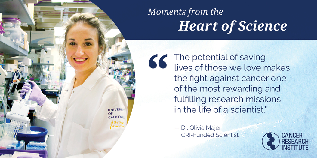 Olivia Majer, CRI-Funded Scientist: The potential of saving lives of those we love makes the fight against cancer one of the most rewarding and fulfilling research missions in the life of a scientist.