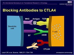 2003-CTLA-4-specific-antibody.jpg
