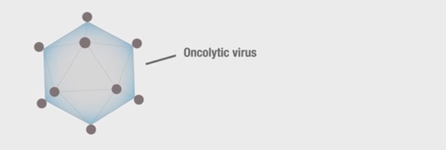oncolytic-virus-illustration-446x150.jpg